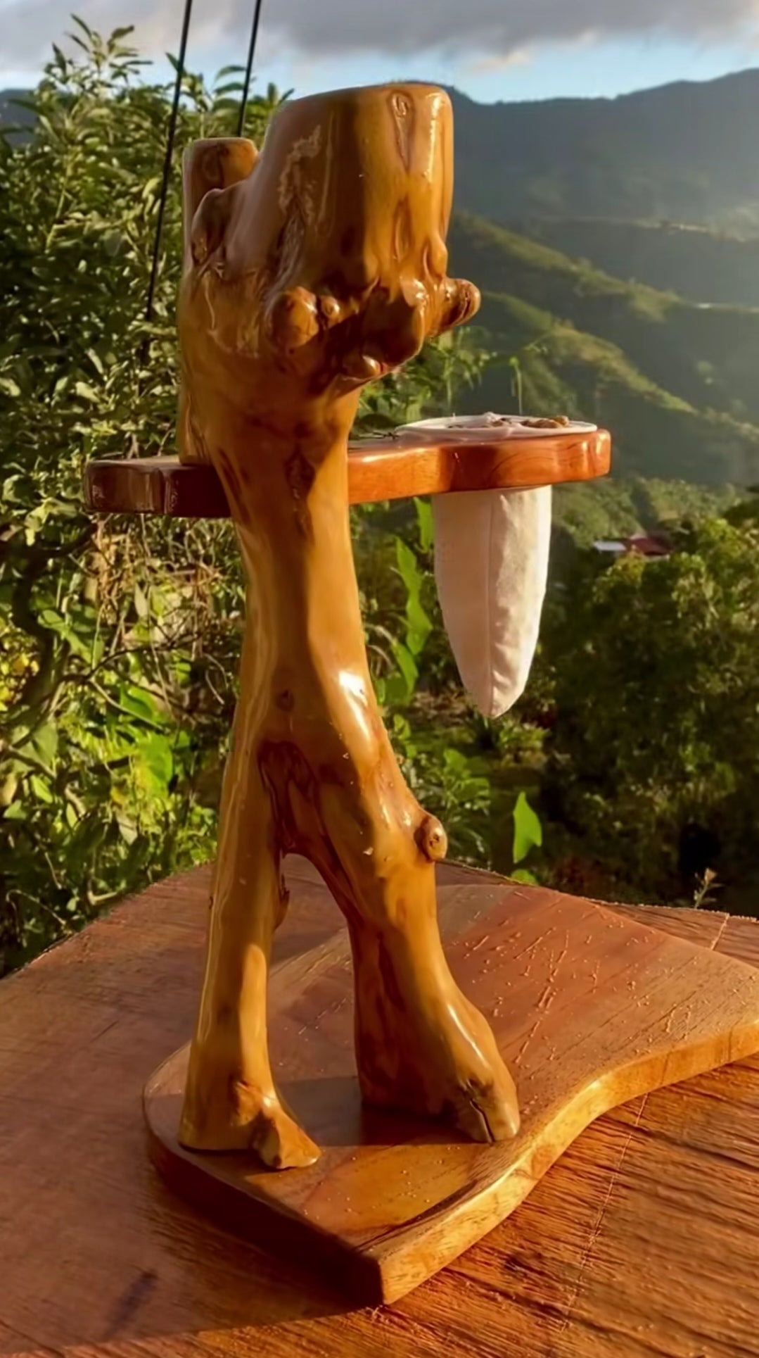 Chorreador de Raíz de Café